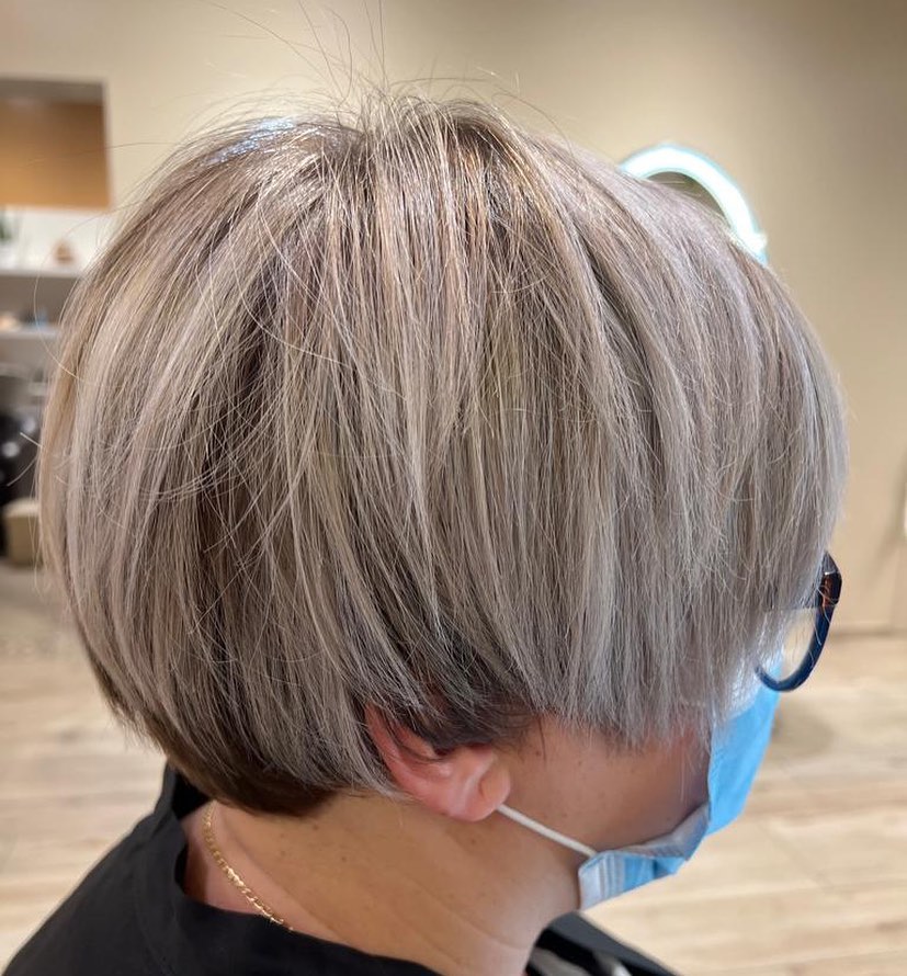 Layered Gray Pixie-Bob with Lowlights